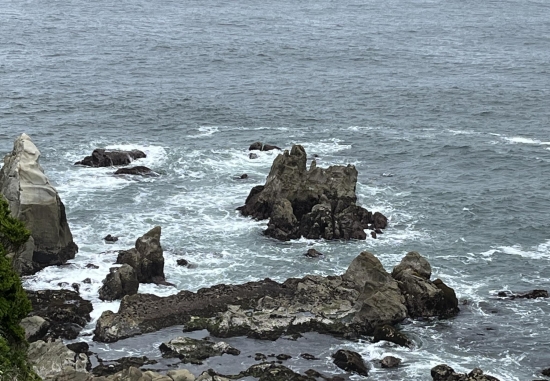 応募作品「灯台の周りを歩いて見える海中の岩が、東映映画の ...