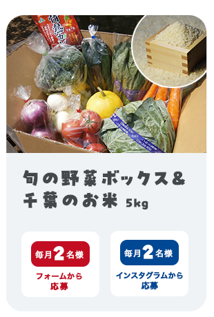野菜ボックス