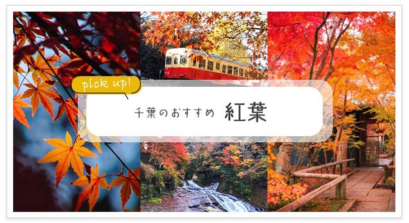 千葉のおすすめ 紅葉