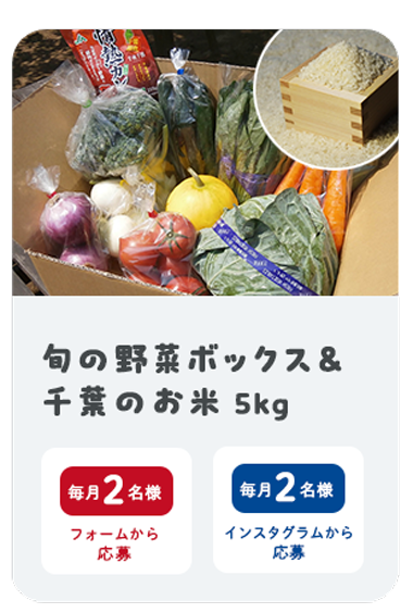 野菜ボックス