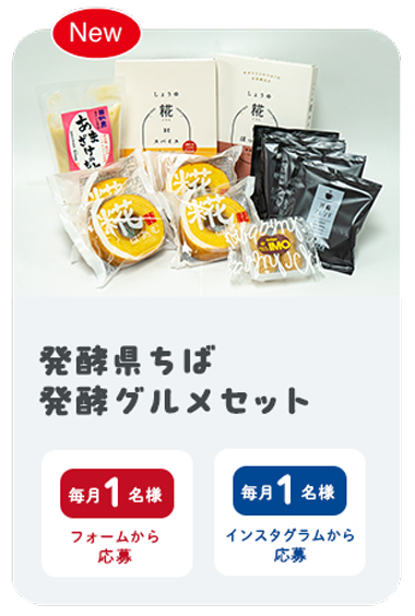 発酵県ちば 発酵グルメセット