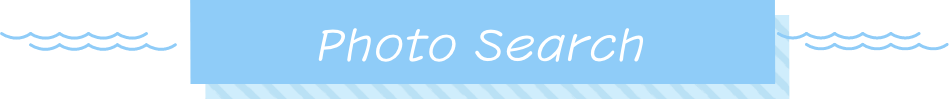 Photo Search