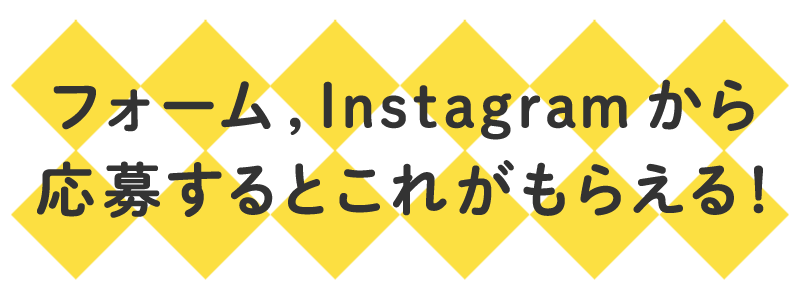 フォームから応募するとこれがもらえる!